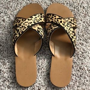 Leopard Print J. Crew Faux Fur Sandals